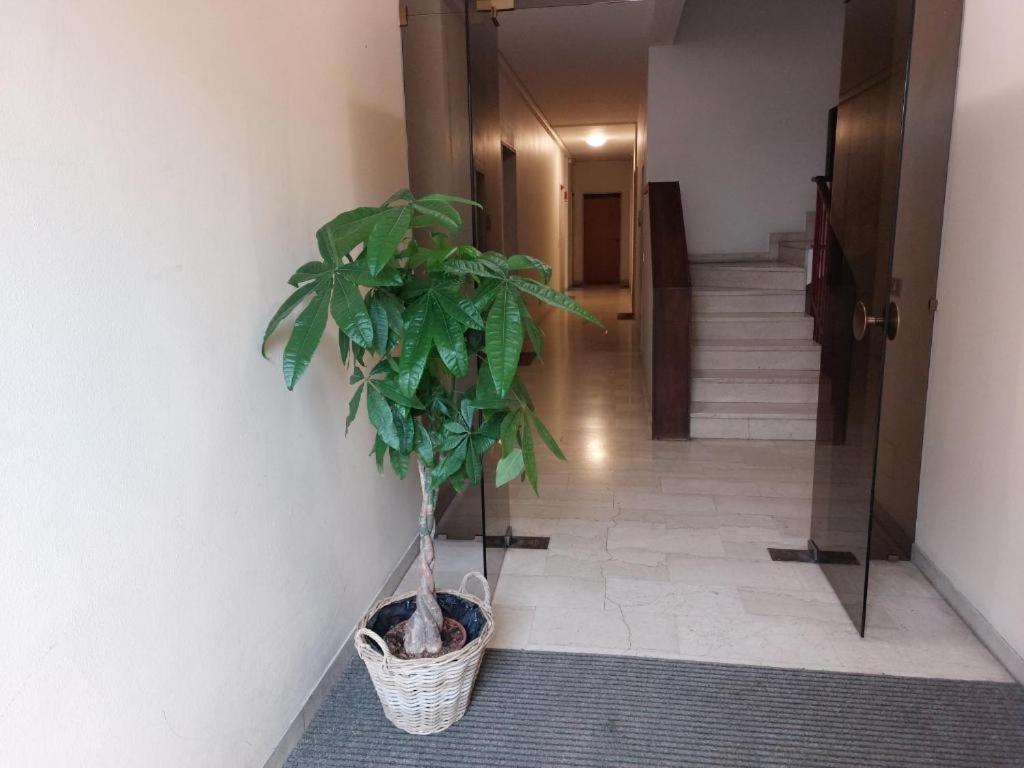 In Blu Santo Ospedale Apartment Padova Bagian luar foto